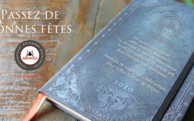 Passez de bonnes fêtes et le meilleur pour 2020