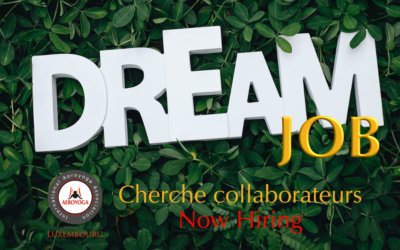 Job offer : Professeur de Yoga Aérien pour cours particuliers et/ou collectifs