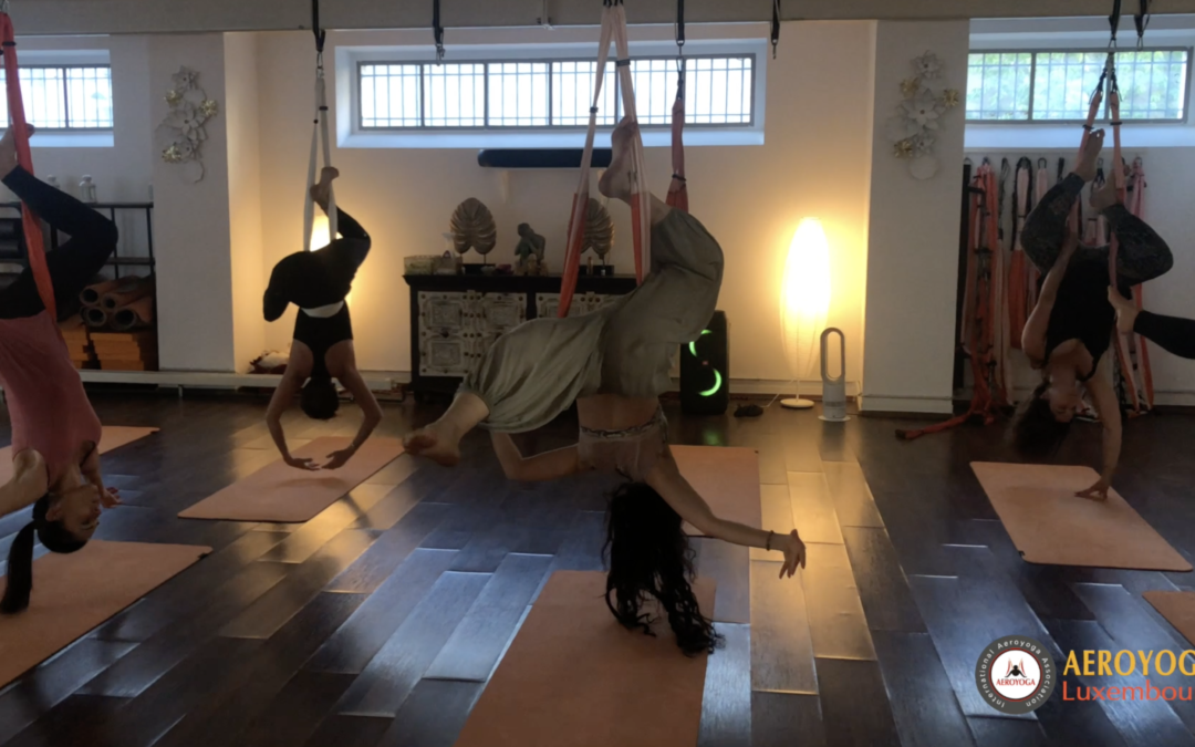 Aerial Inside Flow Yoga