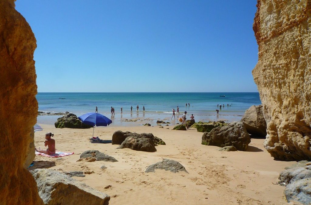 3672737062_8584db74b1_b